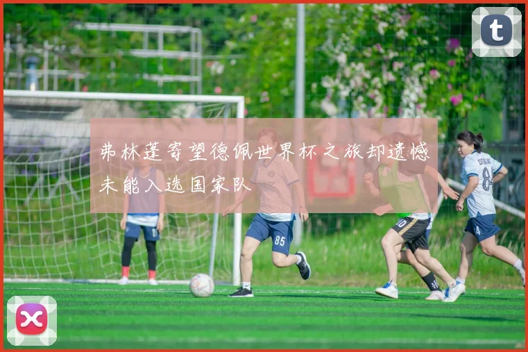 弗林蓬寄望德佩世界杯之旅却遗憾未能入选国家队